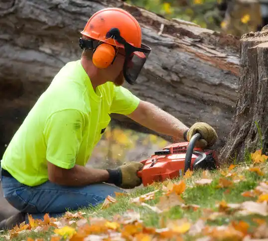 tree services Pine Bush